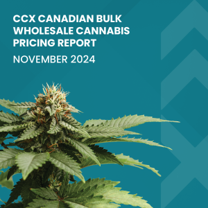 CCX End of Month Report - November 2025