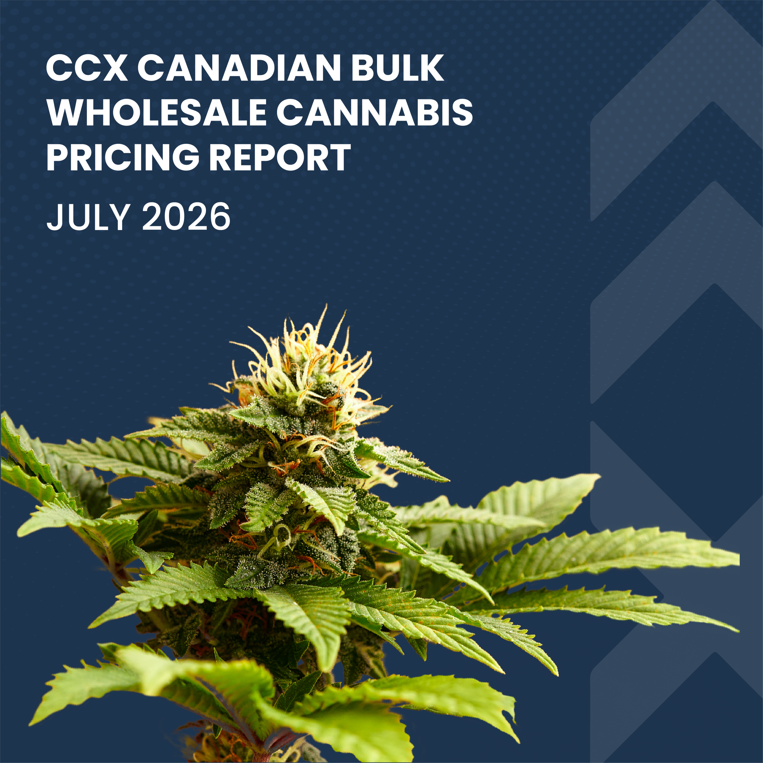 CCX End of Month Report - July 2026