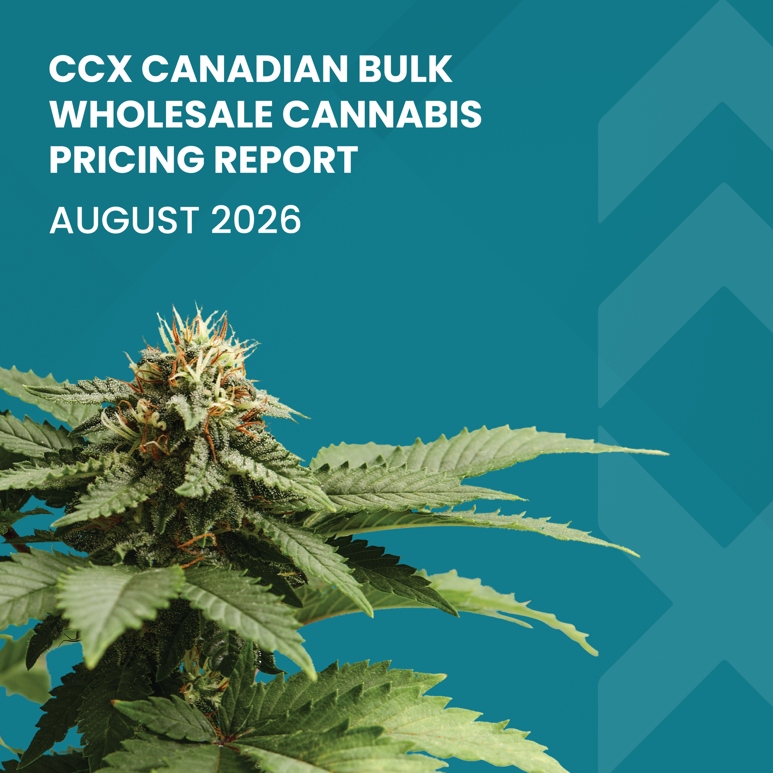 CCX End of Month Report - August 2026